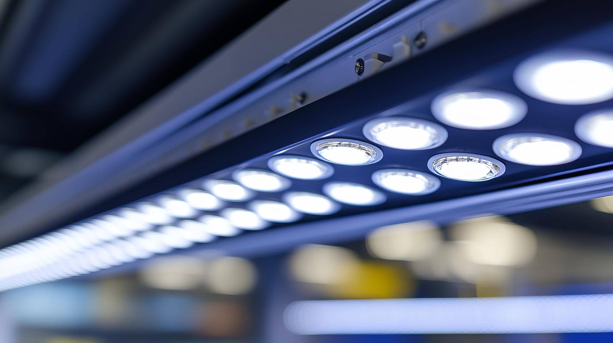 Jaki led wybrać do domu i dlaczego warto na niego postawić?